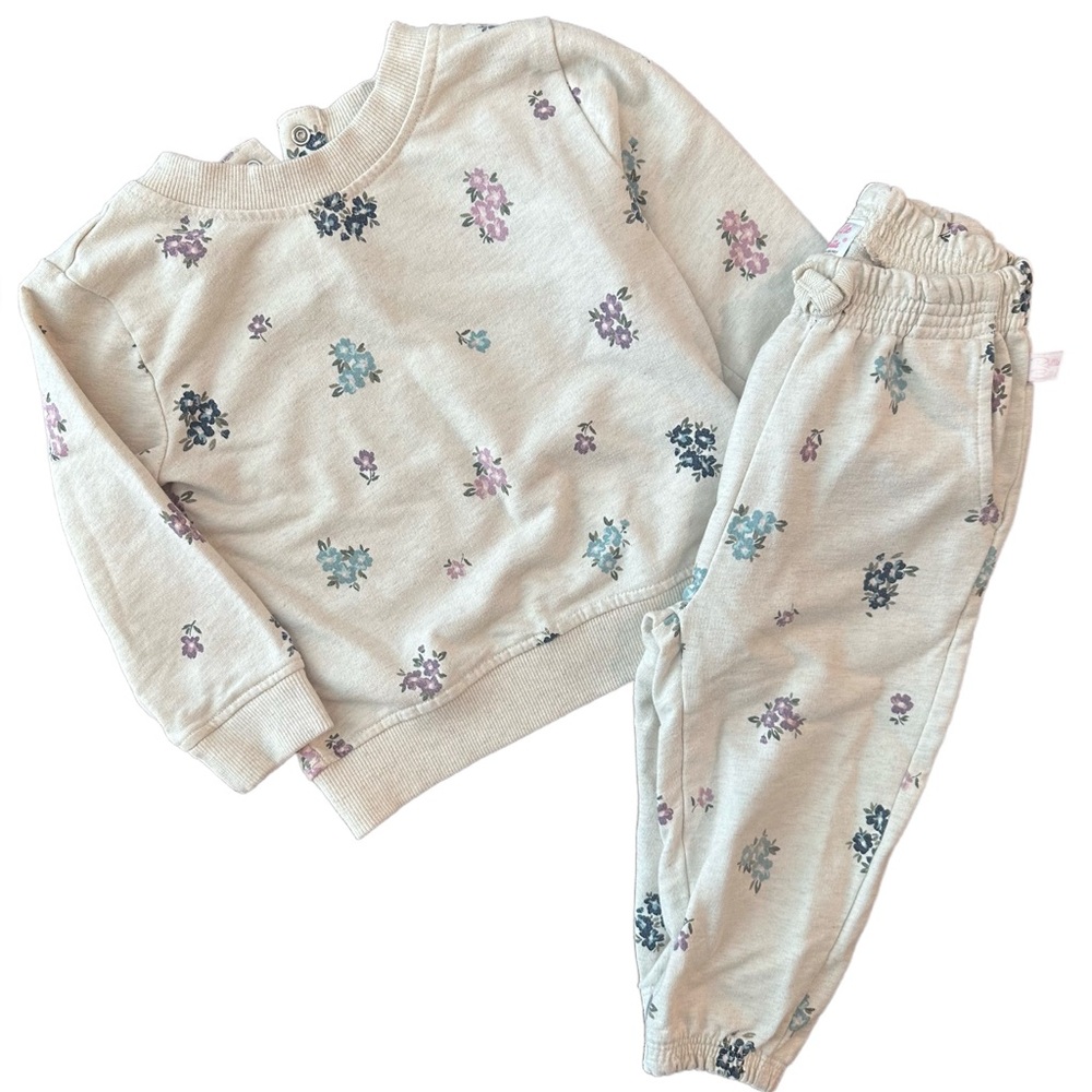 RuffleButts Floral Jogger Set 18-24M